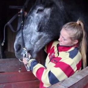 WINOL: Horse owners hit by ‘devestating’ disease