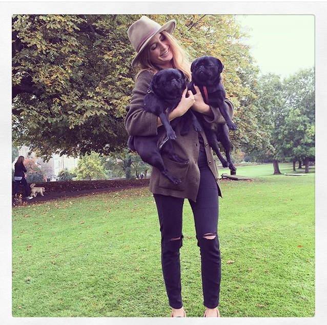 Millie Mackintosh Dogs Megan Fisher Freelance Journalist
